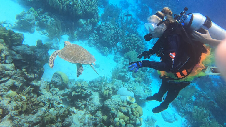 woman adaptive scuba diver viewing sea turtle underwater